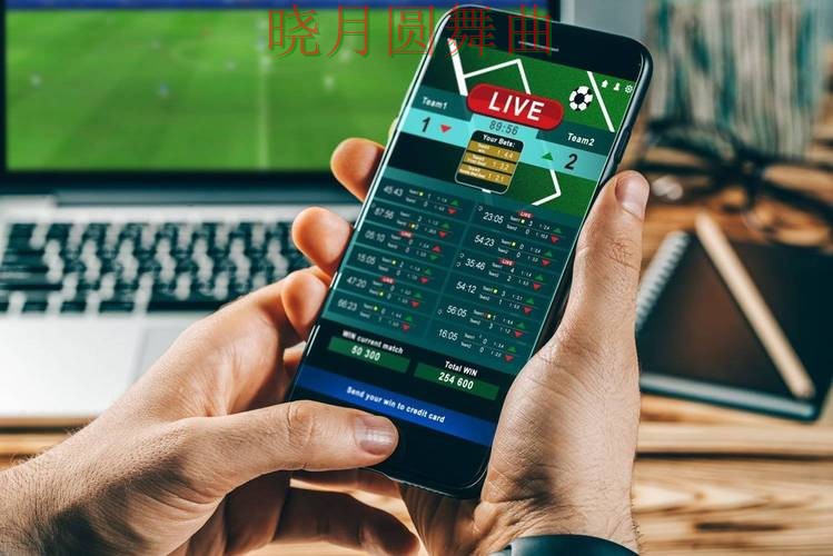 世界杯投注app哪个好用更适合新手,老玩家都在研究 世界杯投注app哪个好用更适合新手,老玩家都在研究